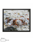 Load image into Gallery viewer, Hermit Crab Huddle
