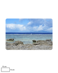 Load image into Gallery viewer, Reef Rendezvous
