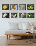 Load image into Gallery viewer, Bougainvillea Brilliance
