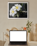 Load image into Gallery viewer, Fragrance of Frangipani
