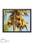 Load image into Gallery viewer, Coconut Morning
