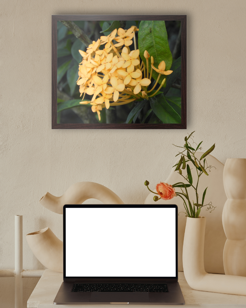 Ixora's Glow