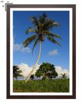 Load image into Gallery viewer, Coconut Colossus
