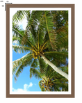 Load image into Gallery viewer, Under the Coconut Canopy
